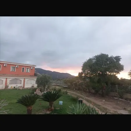 L'orto Di Zio Franco Capoterra