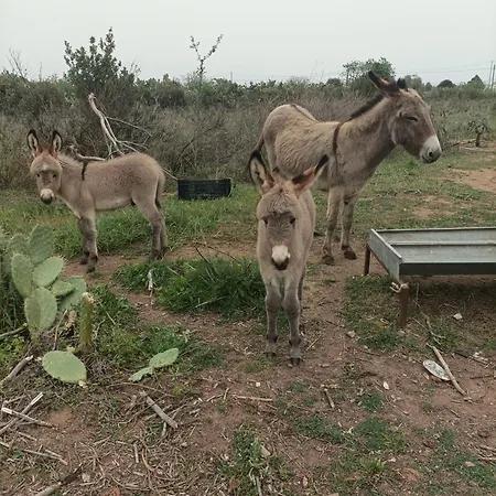 L'orto Di Zio Franco